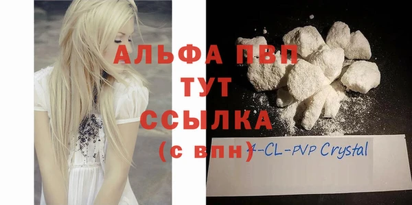 ешки Богданович