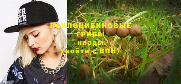 скорость Бронницы