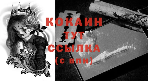 МДПВ Бородино