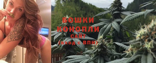 МДПВ Бородино