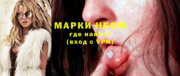 МДПВ Бородино