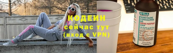 МДПВ Бородино