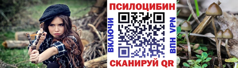 Псилоцибиновые грибы прущие грибы даркнет состав Мезень